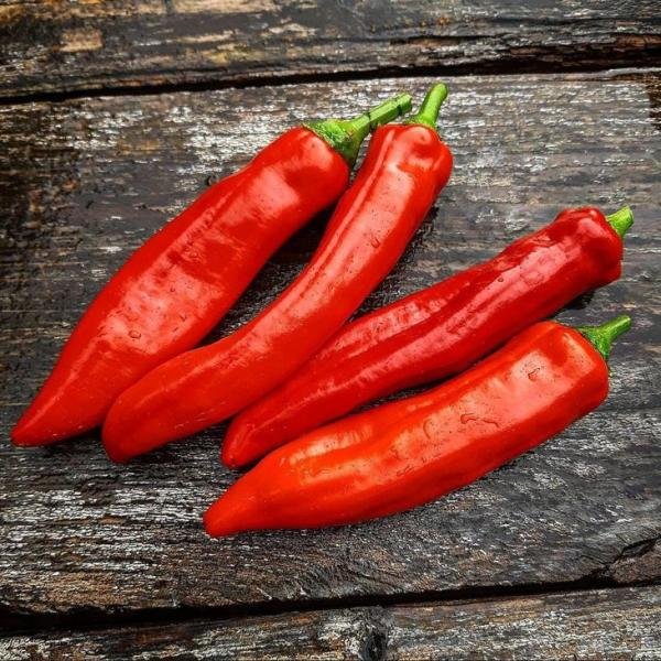 Chili (Guajillo Pods)