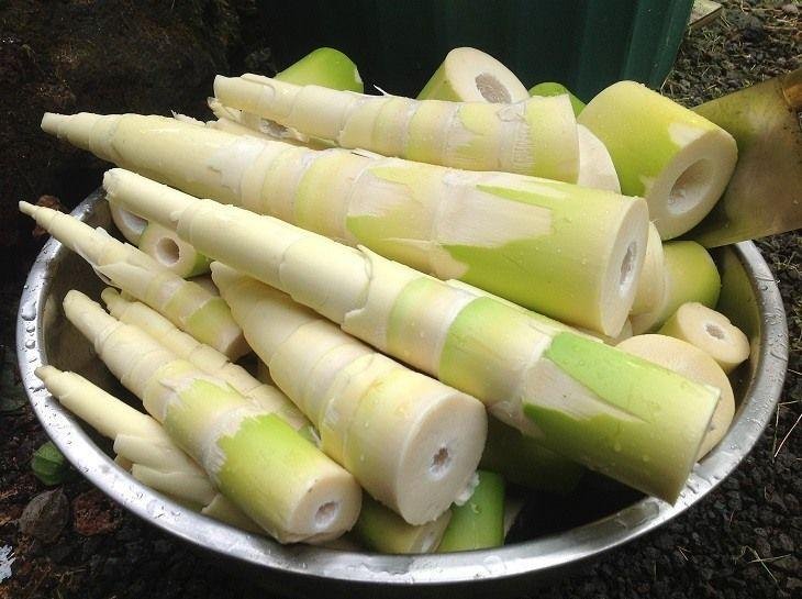Bamboo Shoot (Dried)