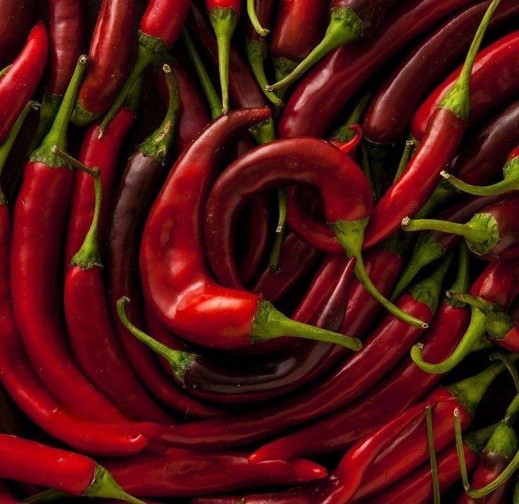 African Birdseye Chili